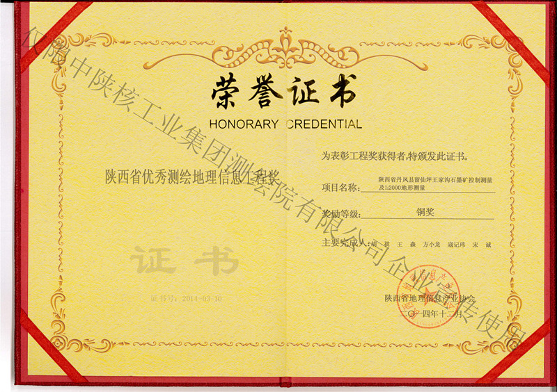 留仙坪銅獎王家溝石墨礦控制測量及1:2000地形測量銅獎--個人